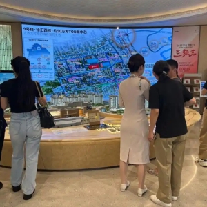 楼市“沪六条”实施首个周末：刚需族加速入场，有看房者一出手就买两套