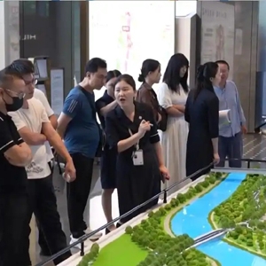 深圳楼市新政掀起新房市场销售热潮！多区域出现“跨城购房团”