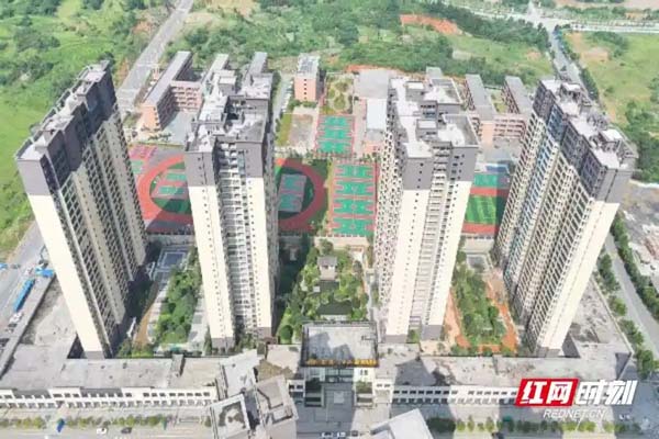 嘉禾县：国企引航激活“沉睡”土地