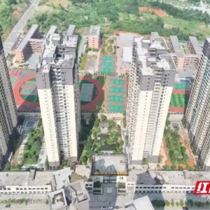 嘉禾县：国企引航激活“沉睡”土地