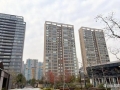 置业参考：2025年买房，这几点建议值得一看！