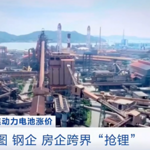 争夺战越演越烈！房企、钢企都在跨界抢“它”！有“锂”走天下，还会持续吗？ ...