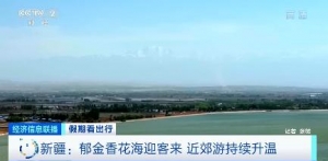 春季限定”浪漫！新疆郁金香花海迎客来 近郊游持续升温