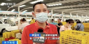 丰收！湖北潜江首季稻虾收获完毕，价格走势如何？
