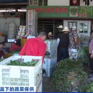 现采现卖、冷藏运输……持续高温下，保障果蔬“锁鲜”上市，各地出招→ ...