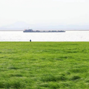 鄱阳湖河床变草原当地人开车飞驰，这是不是正在经历沧海桑田？ ...