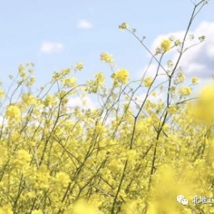 健康环保、绿色生活