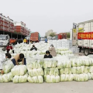 临沂沂河新区：免费蔬菜包送到群众家门口