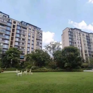 大盘云启之江首开，边上有二手房降价100万元