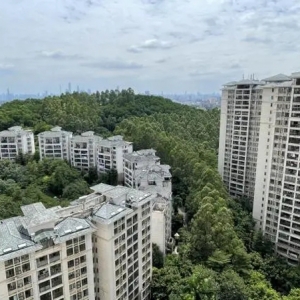 看房者多了三五成：“卖一买一”踊跃，二手房放盘量创新高