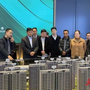 湖南湘江新区洋湖街道：组织开展房地产项目现场观摩活动