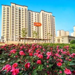 656户动迁居民喜迎新居，这个小区正式启动集中回搬