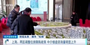 上海两区调整住房限购政策，“人才”咨询量上升！优质房源一抢而空