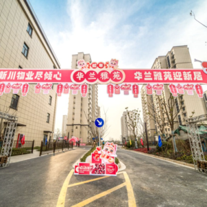 集中回搬，他们喜圆“新居梦”