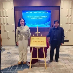 山东省房协｜房地产估价分会召开工作会议