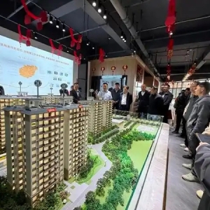 琼中群策群力促房地产平稳健康发展