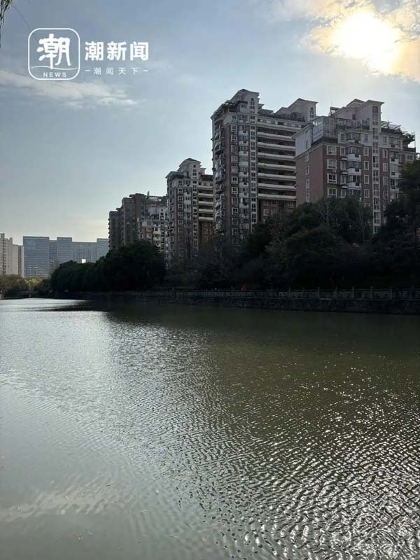 跟单套上千万元的新房一比，单价3万多的市中心老小区又吃香了