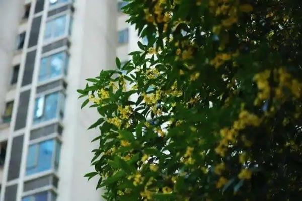 贵阳整治房地产市场“乱收费、乱代办”
