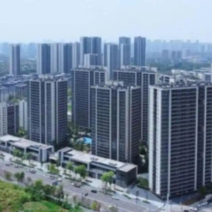 如何让“租住更有温度”？天府新区推动产业人才筑梦新区