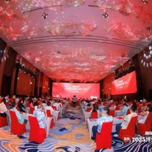 以新的发展模式适应新环境——聚焦2025博鳌房地产论坛